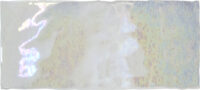 DESPIECE-DREAMS_SEA-SHELL_7,5x15